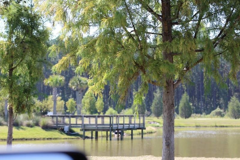 1325 Wood Sorrel Dr, Moncks Corner, SC 29461