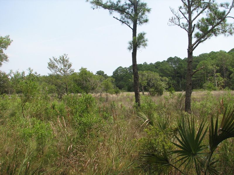 27 Palmetto Rd #B, Edisto Island, SC 29438
