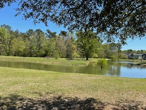 802 Rue Dr, Charleston, SC 29414