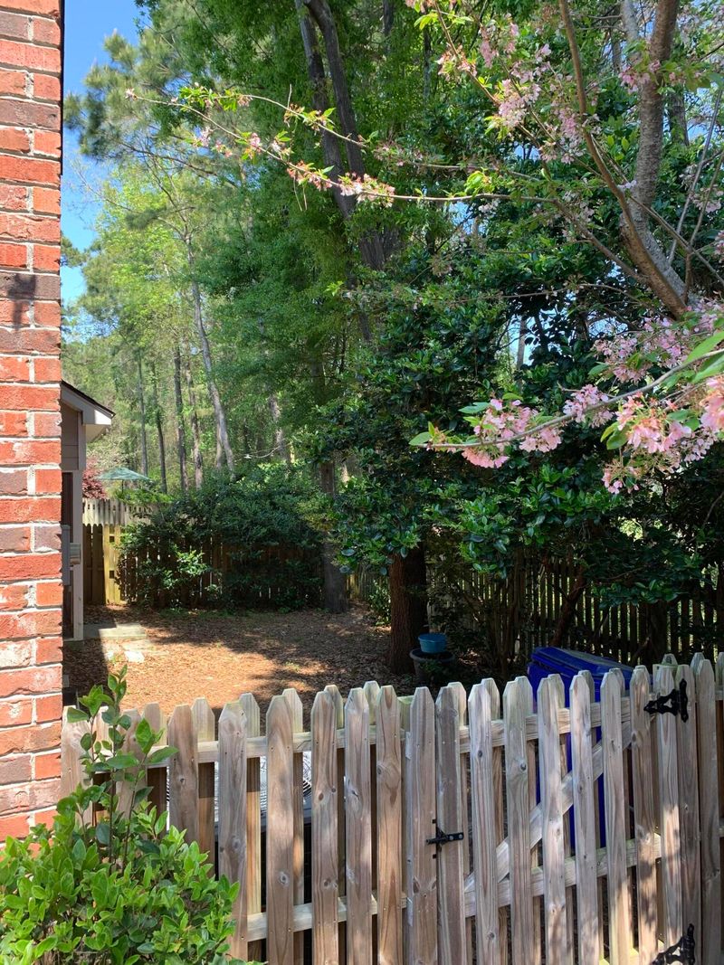 788 Natchez Cir, Mount Pleasant, SC 29464