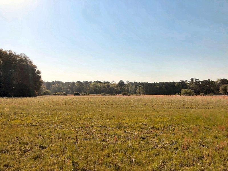 0 Old Smoak House Rd, Meggett, SC 29449