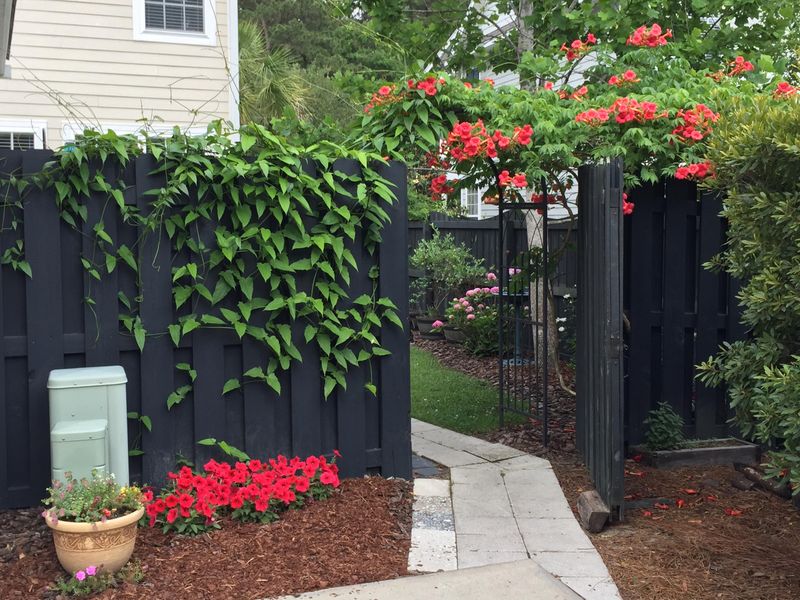 3033 Park W Blvd, Mount Pleasant, SC 29466