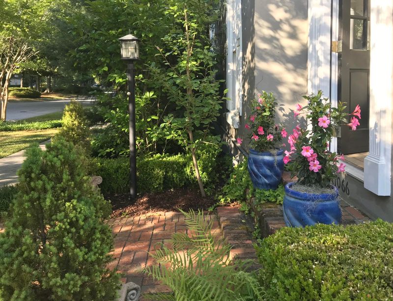 1066 Loyalist Ln, Mount Pleasant, SC 29464