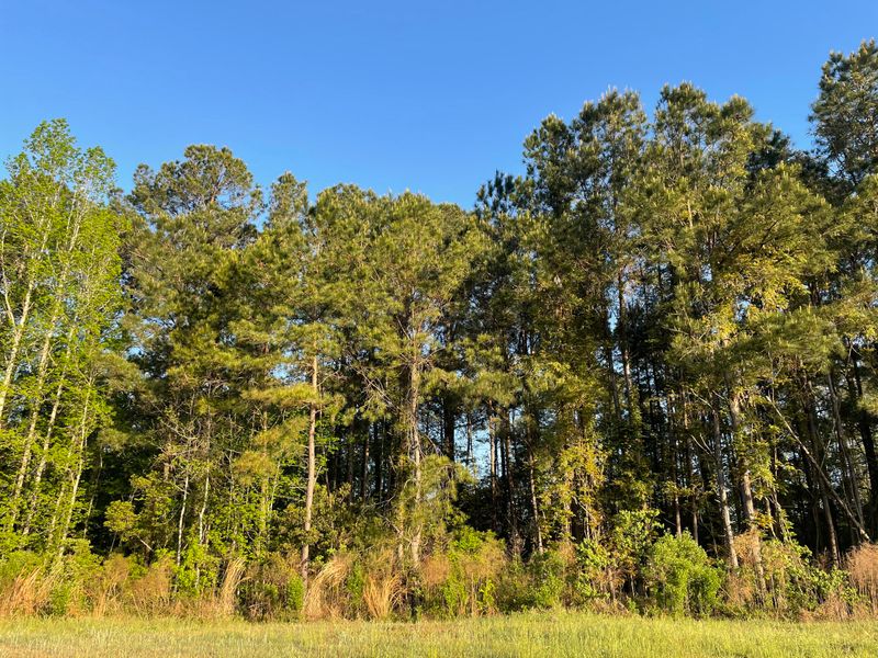 0 Saint James Ave, Summerville, SC 29483