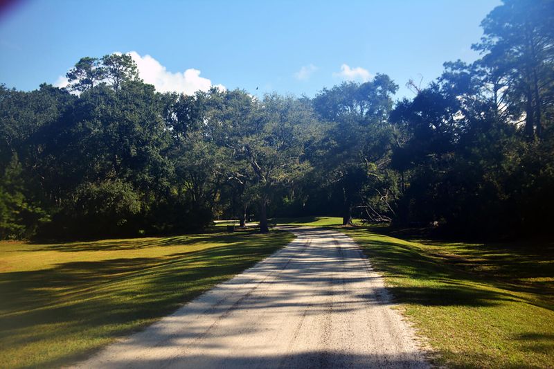 5 Blackbear Rd, Edisto Island, SC 29438
