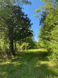 0 Gated Horse Rd, Meggett, SC 29449