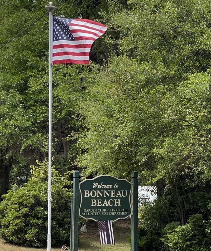 717 General Moultrie Dr, Bonneau, SC 29431