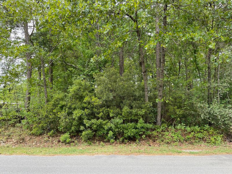 717 General Moultrie Dr, Bonneau, SC 29431