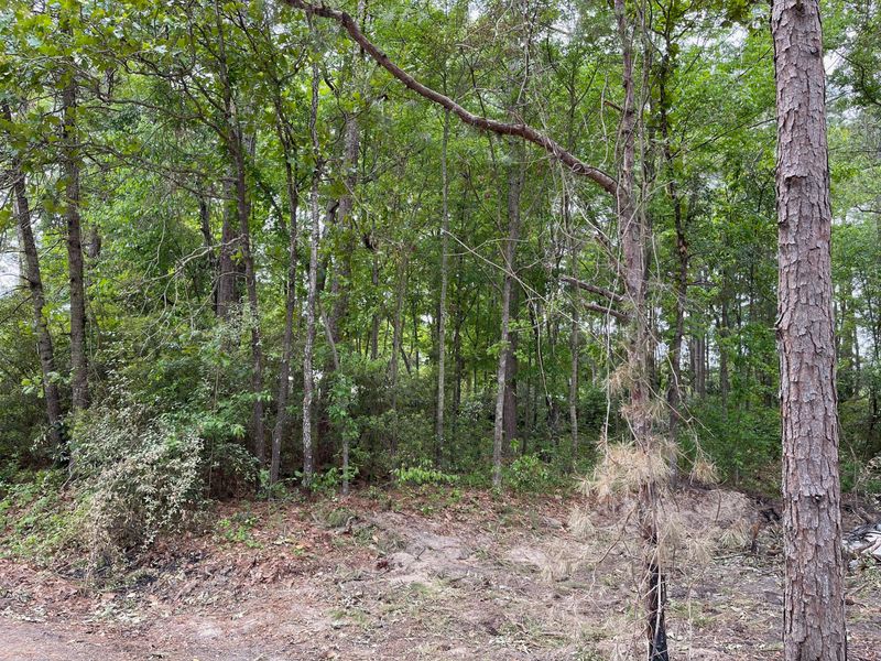 717 General Moultrie Dr, Bonneau, SC 29431