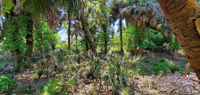 3103 Fort St, Edisto Island, SC 29438