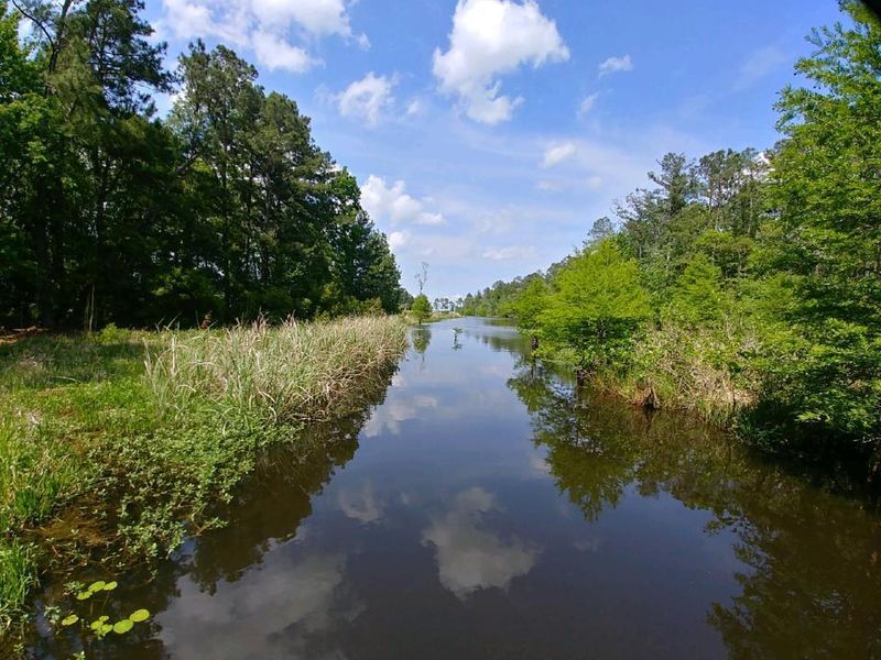 1434 Pinopolis Rd, Pinopolis, SC 29469