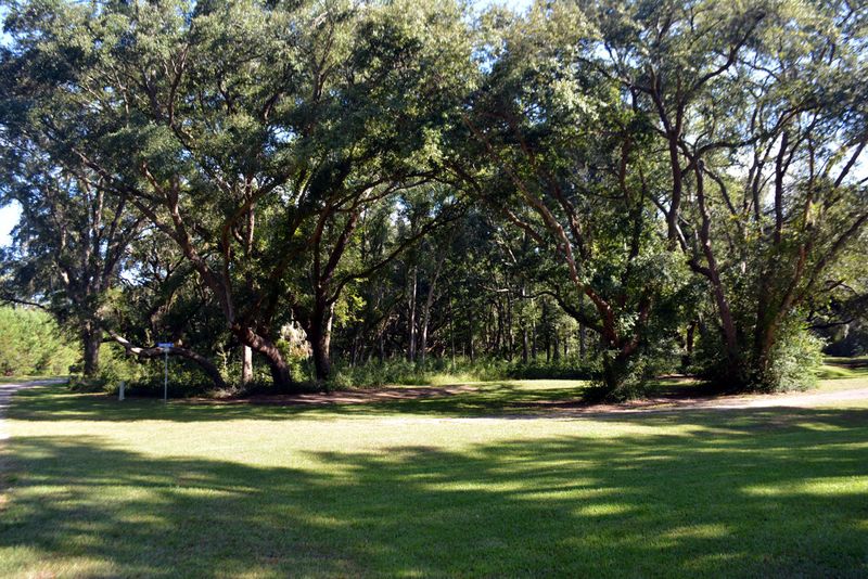 15 Oakwood Ln, Edisto Island, SC 29438