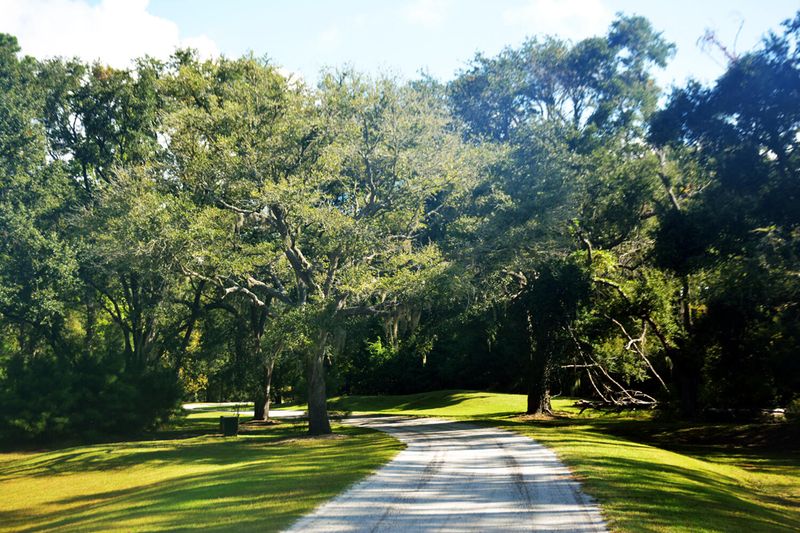 15 Oakwood Ln, Edisto Island, SC 29438