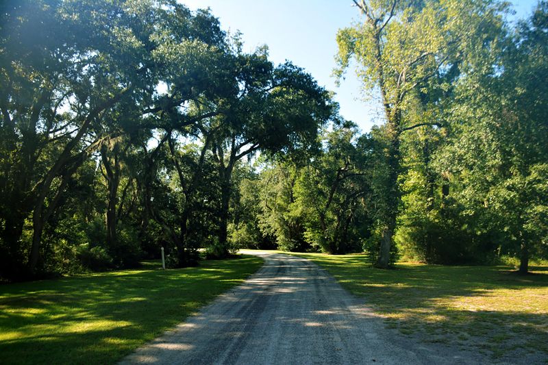 12 Oakwood Ln, Edisto Island, SC 29438