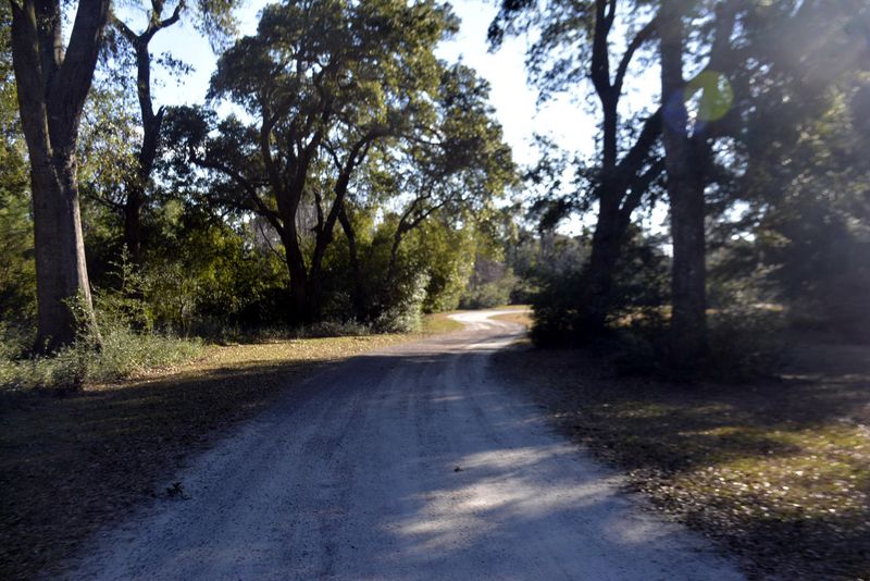 11 Oakwood Ln, Edisto Island, SC 29438