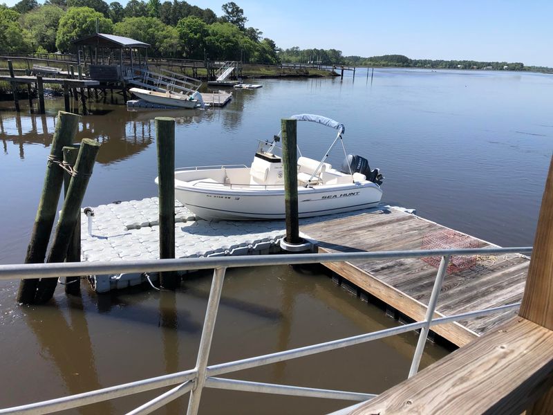 4016 Rantowles Ct, Ravenel, SC 29470