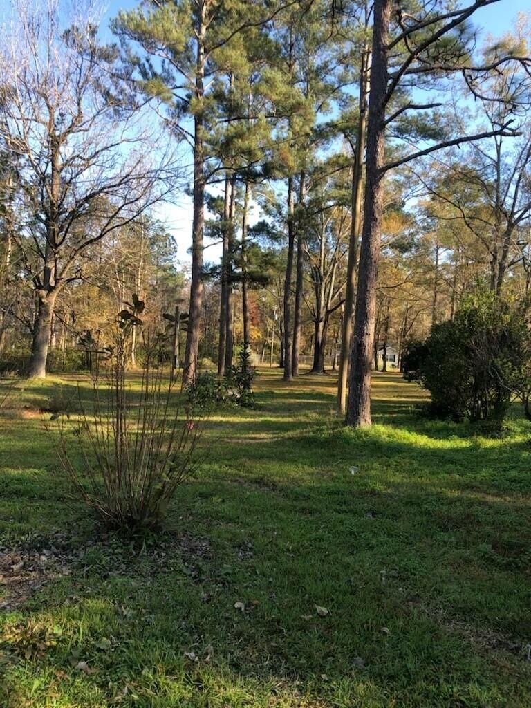 99 Swanson Dr #A & B, Summerville, SC 29483