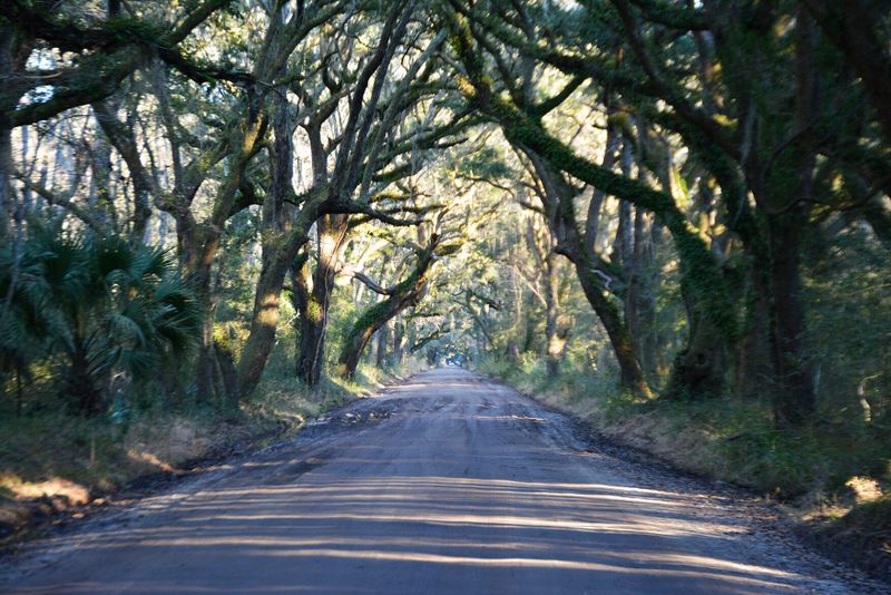 1199 Framptons Inlet Rd, Edisto Island, SC 29438