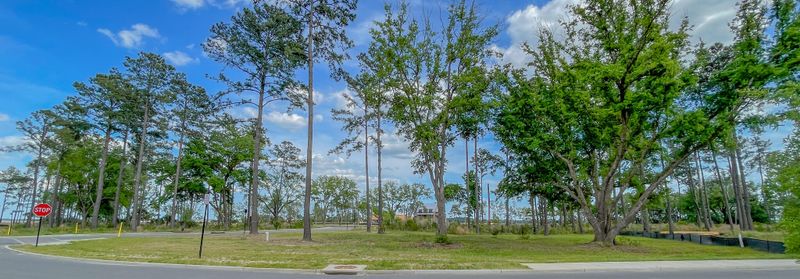 229 Captain Goddard Rd, Charleston, SC 29492