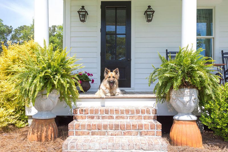 6022 Old Jacksonboro Rd, Ravenel, SC 29470