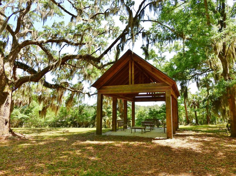 8 Glascow Island Ln, Edisto Island, SC 29438