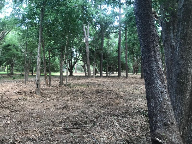8849 Marsh Aire Ln, Edisto Island, SC 29438