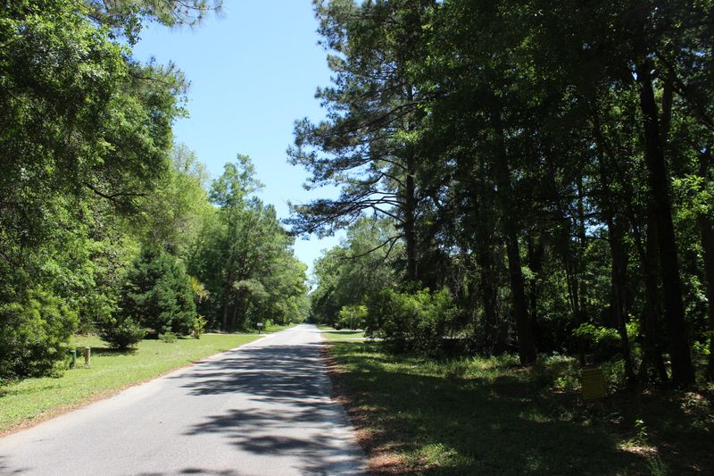 915 Crawford Dr, Edisto Island, SC 29438