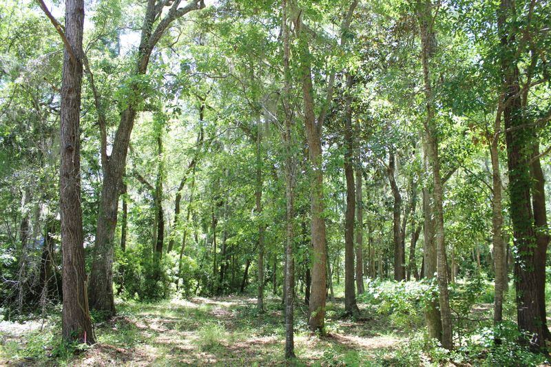 915 Crawford Dr, Edisto Island, SC 29438