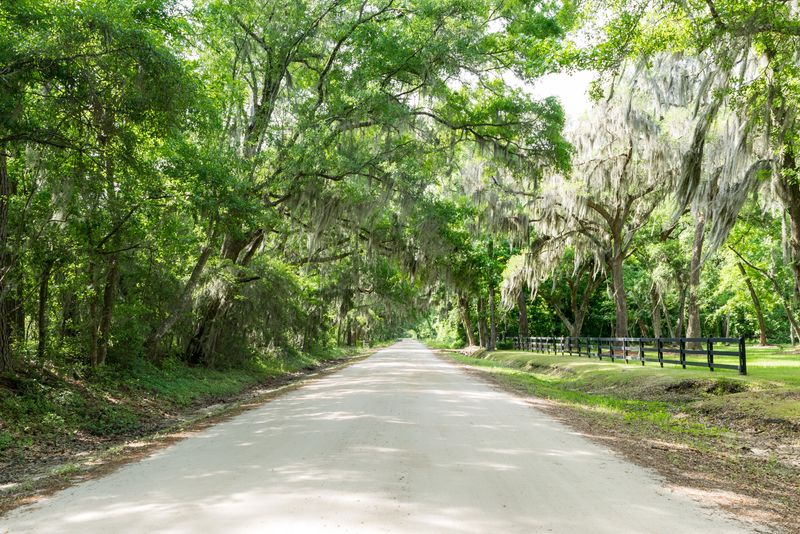 2089 Leadenwah Dr, Wadmalaw Island, SC 29487