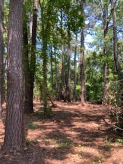 1040 Ben Rd, Charleston, SC 29412