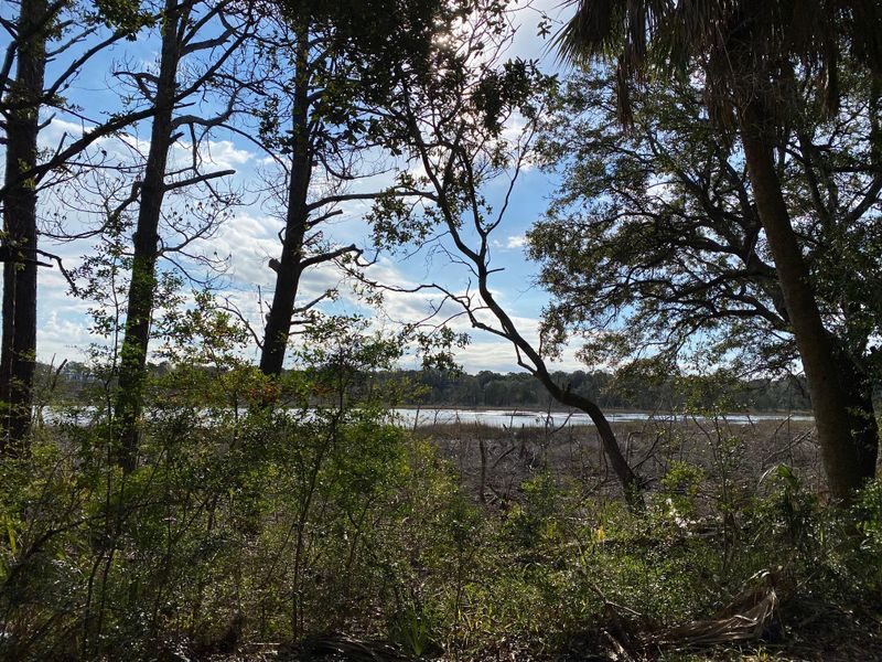 93 Lake Timicau Ln, Dewees Island, SC 29451