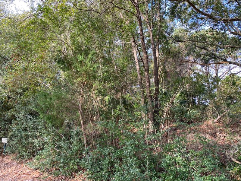 93 Lake Timicau Ln, Dewees Island, SC 29451