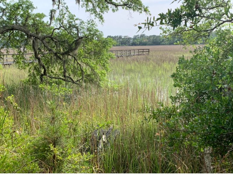 8607 Middleton Point Ln, Edisto Island, SC 29438