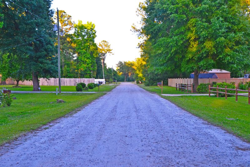 0 Brown Meadow Ln, Adams Run, SC 29426