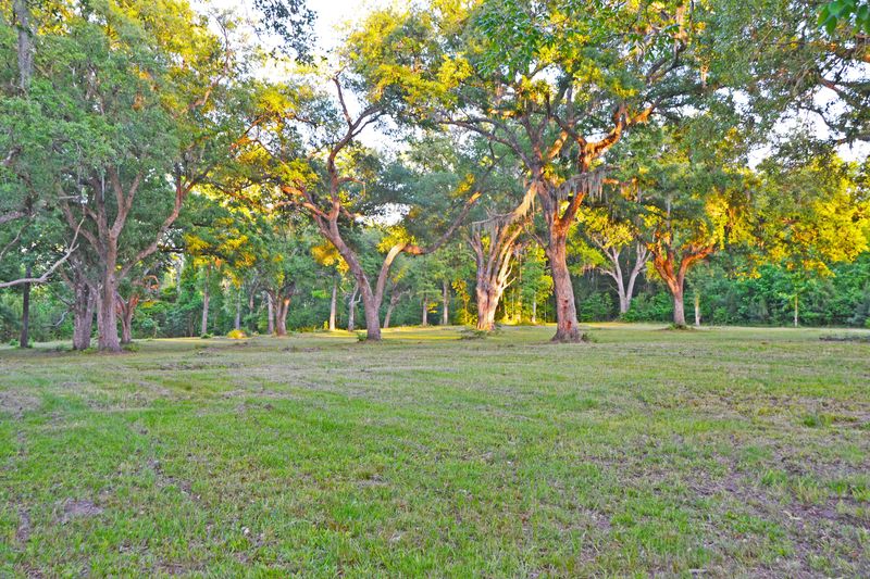 0 Brown Meadow Ln, Adams Run, SC 29426