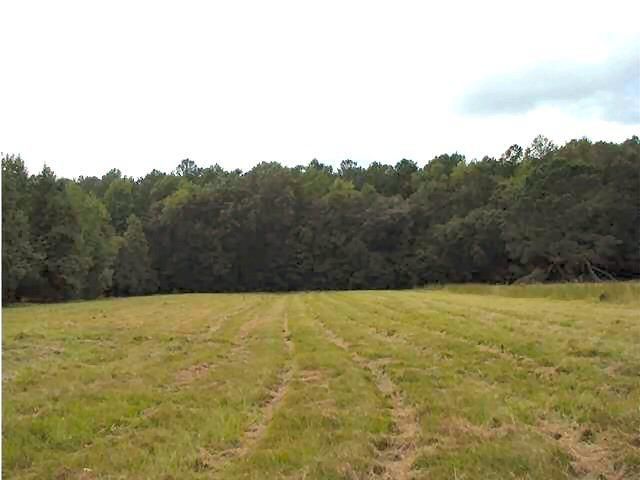Lot A2 Toogoodoo Rd, Meggett, SC 29449