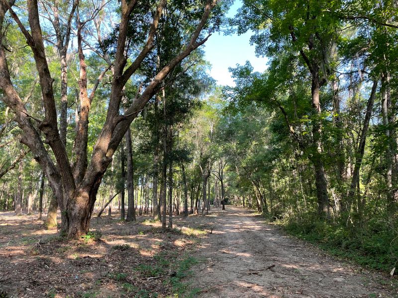 8036 Steamboat Landing Rd, Edisto Island, SC 29438