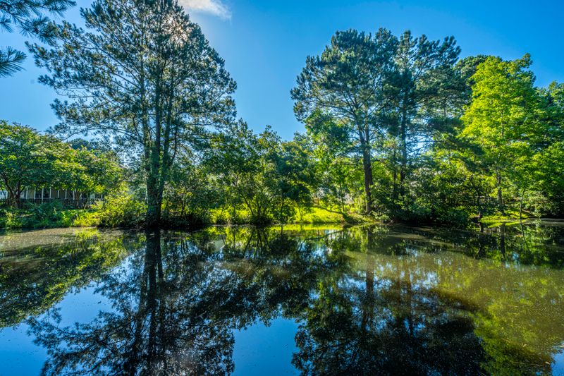 1529 Cypress Pointe Dr, Mount Pleasant, SC 29466