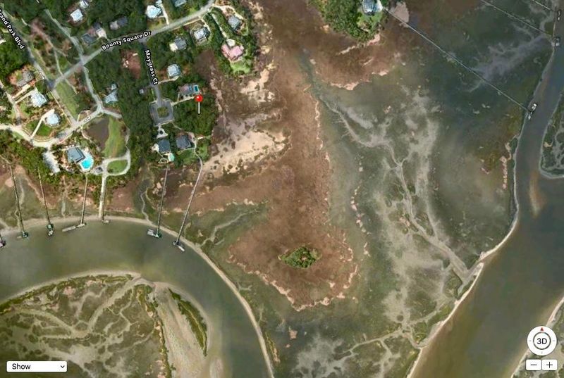 604 Maygrass Ct, Charleston, SC 29492