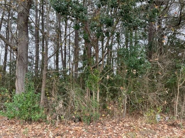 Lot 26 Dennis Dr, Goose Creek, SC 29445