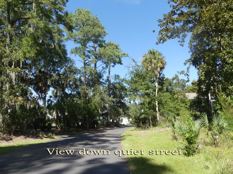 19 Gun Bluff Rd, Edisto Island, SC 29438