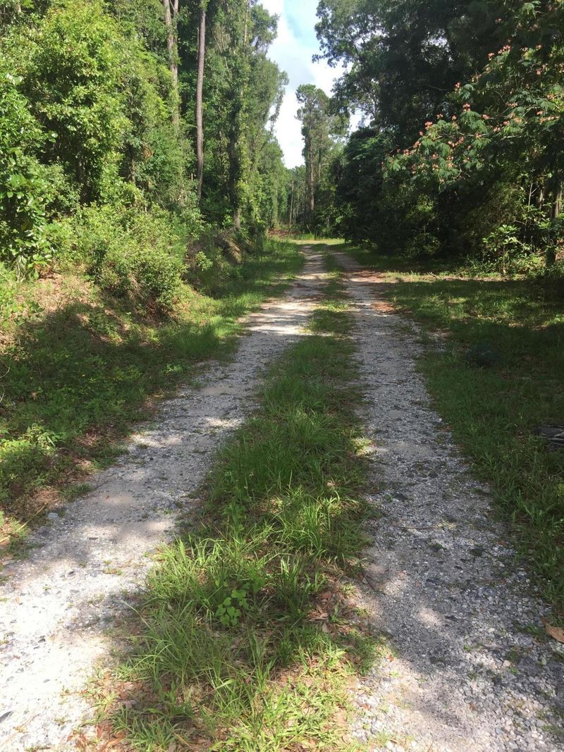1850 Griffith Ln, Johns Island, SC 29455