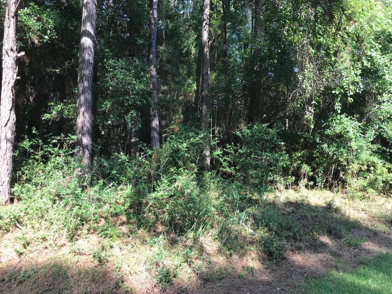 8468 Middleton Point Ln, Edisto Island, SC 29438