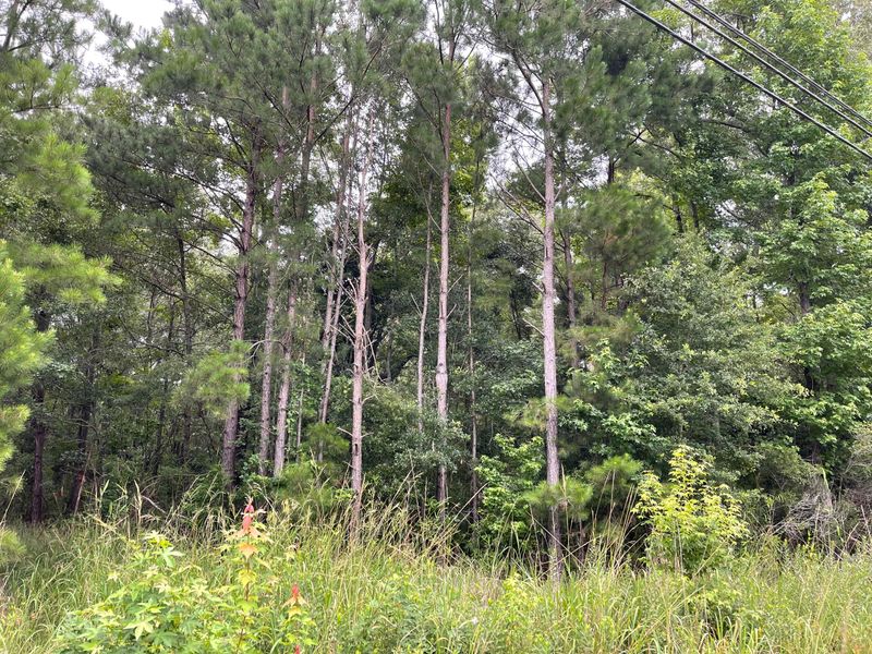 5778 Sc 162, Hollywood, SC 29449