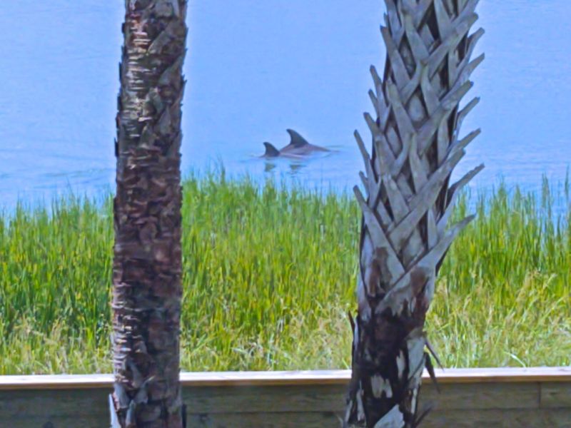 22 Mariners Cay Dr, Folly Beach, SC 29439