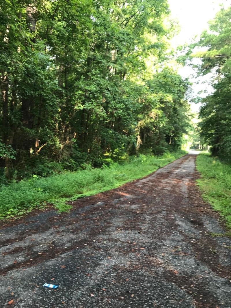0 University Drive Lot 145 Dr, North Charleston, SC 29418