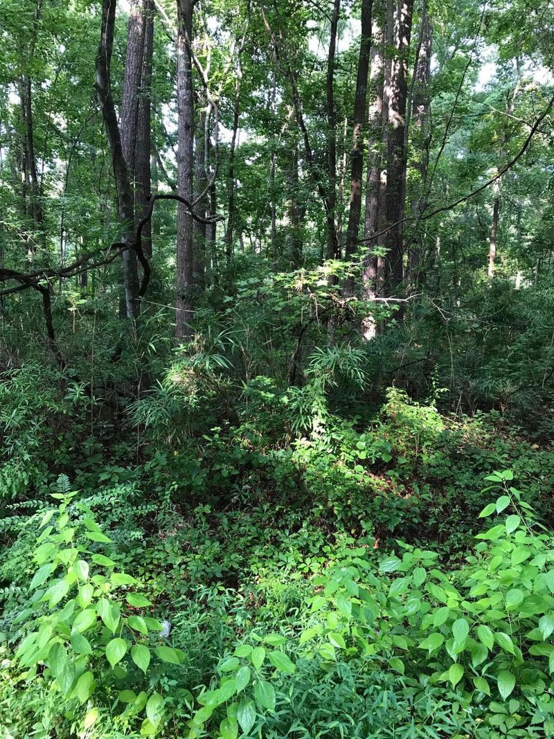 0 University Drive Lot 145 Dr, North Charleston, SC 29418