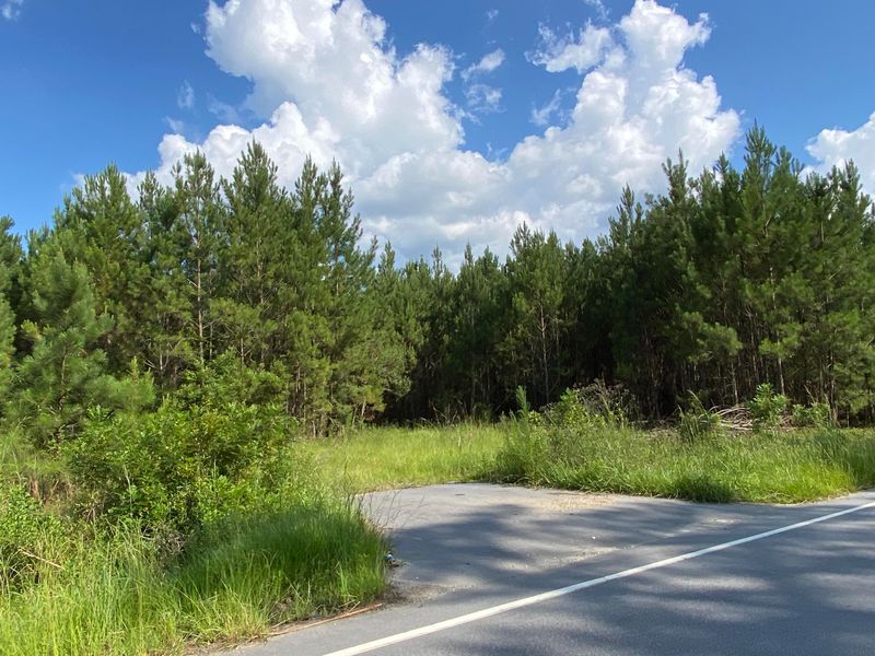 1788 Hoodtown Rd, Saint Stephen, SC 29479