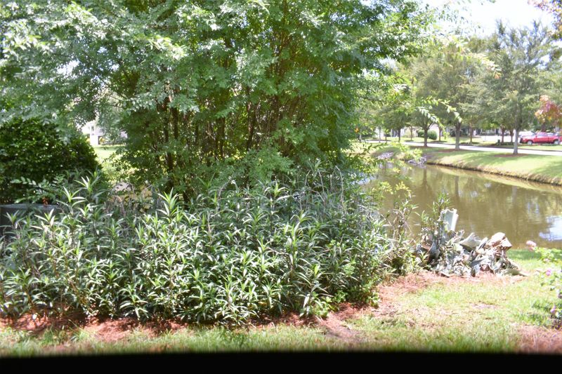 202 Yellow Hawthorn Cir, Summerville, SC 29483