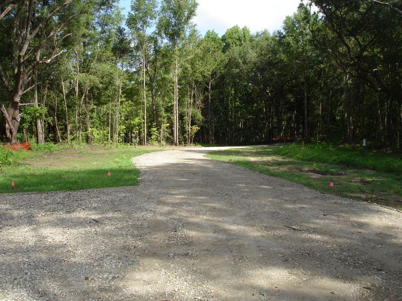 3 Ruth Mitchell Dr, Ravenel, SC 29470